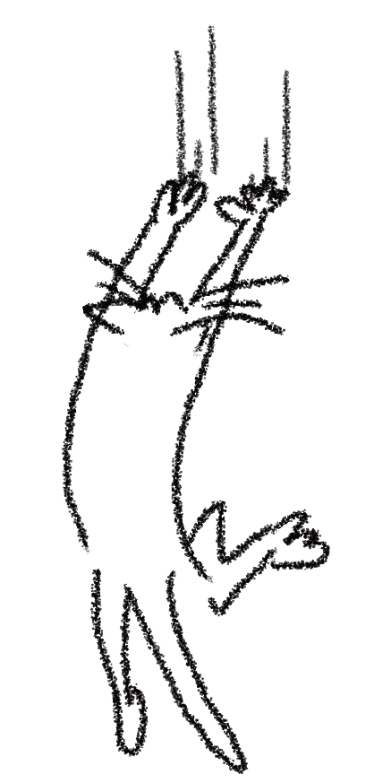 Running Cat Films